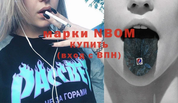 амф Бородино